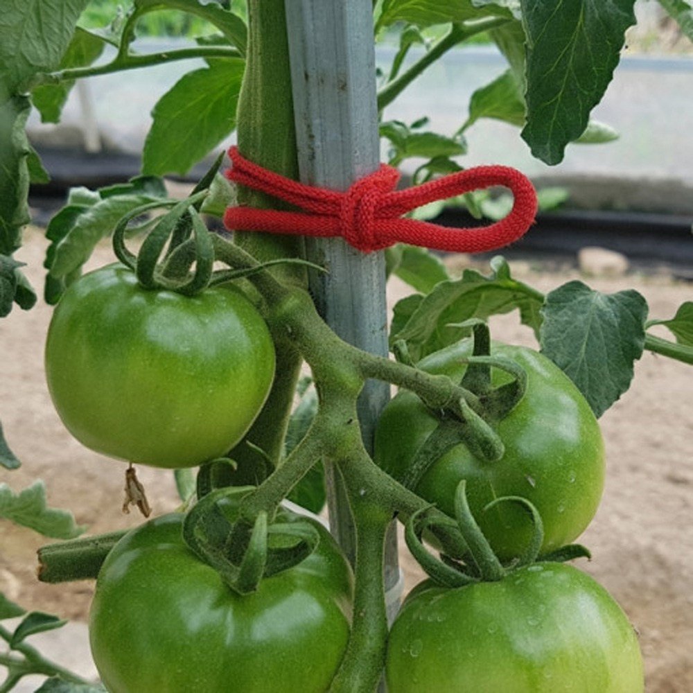 농사용 원예용 고추결속기 6kg 실밥먼지제거 고추끈 양말끈 양말목, 농사용 양말목 6KG(색상랜덤) 실밥먼지제거, 랜덤 발송, 1개 상세 이미지 2