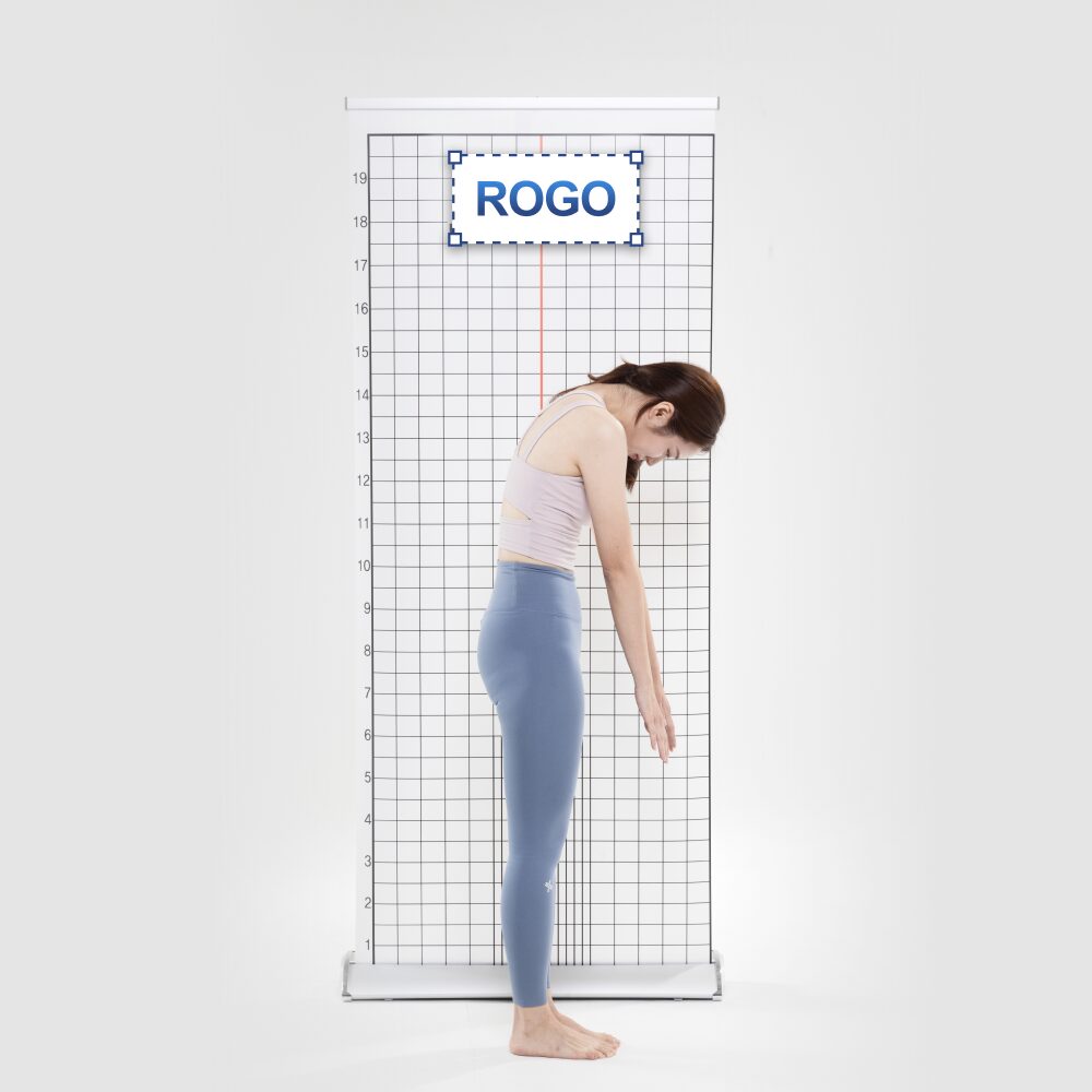 무브먼트 자세평가 체형분석, 화이트 로고삽입 스크린(85x200cm), 1개, 1개입 상세 이미지 2