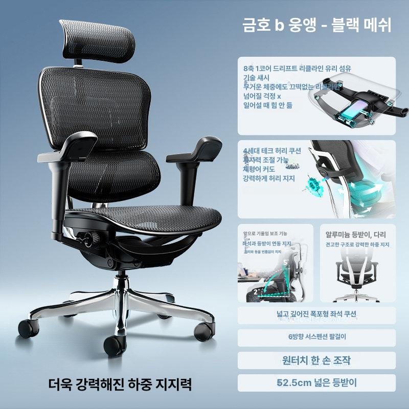 Ergohuman B이글 인체공학 사무용 의자, 회전식 높이 조절 팔걸이, 블랙 상세 이미지 1
